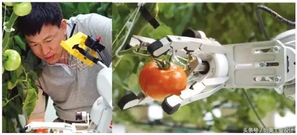 工業(yè)機器人“當家作主”，食品加工自動化成趨勢？